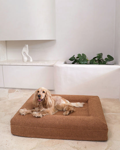 orthopaedic memory foam stylish dog bed rust